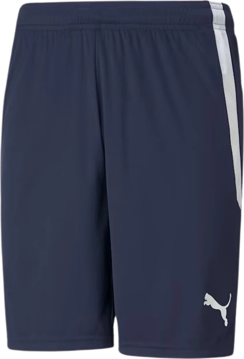 Shorce për meshkuj Puma, navy
