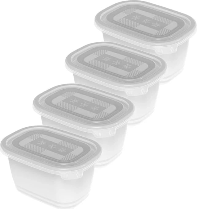 Enë frigoriferike Rotho Freeze, 4x750ml, Transparente