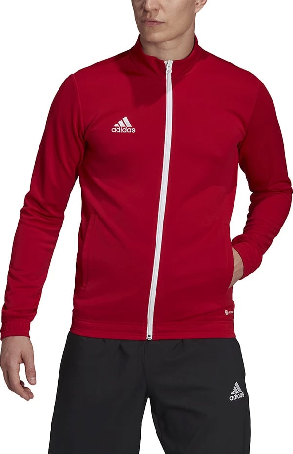 Duks për meshkuj adidas, i kuq