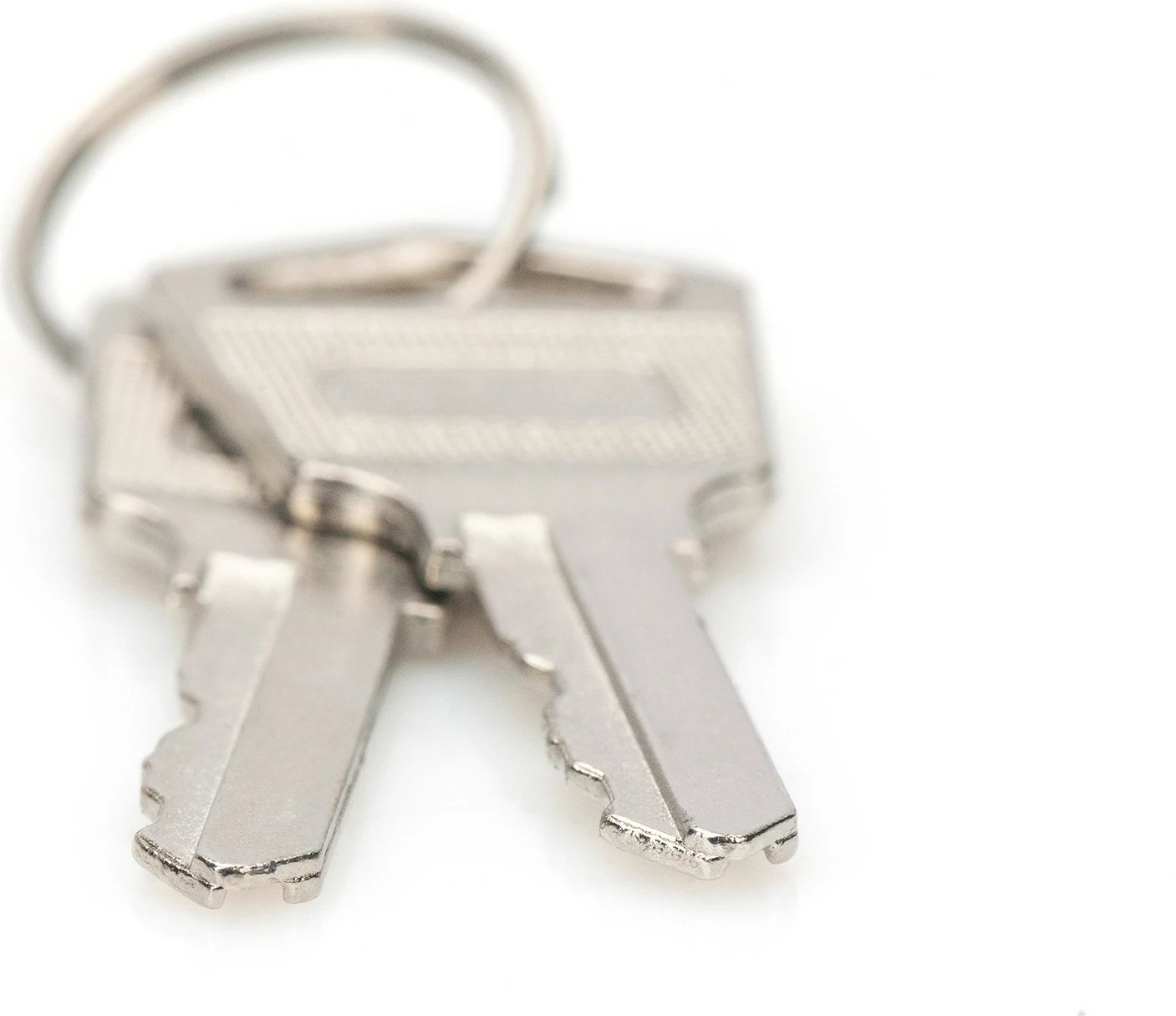 Çelësa Digitus për dollap karikimi, 2 copë, argjend