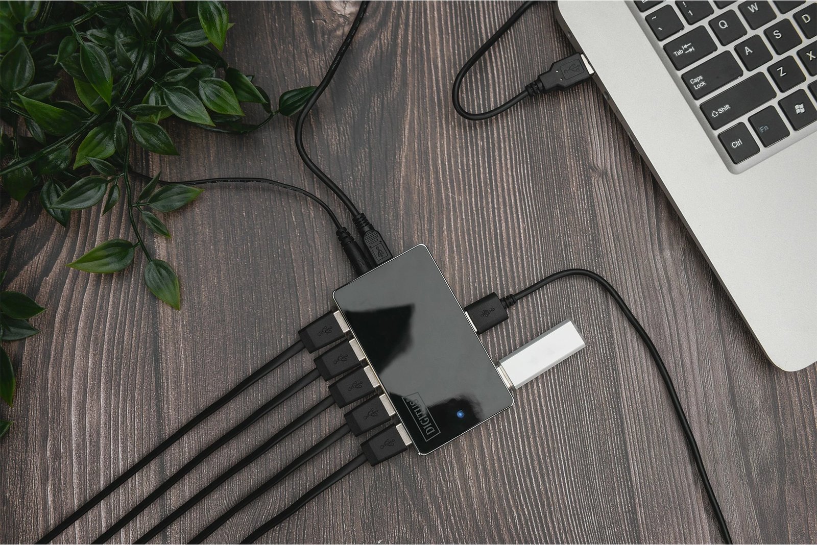 Hub USB Digitus, 10-Port, USB 2.0, 480 Mbit/s, Ngjyrë e zezë, Argjendtë