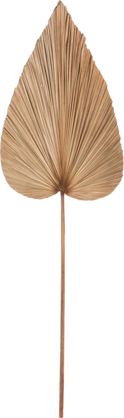 Dekor me gjethe palme të tharë, ngjyrë natyrale, FH7875, 42x135x3 cm