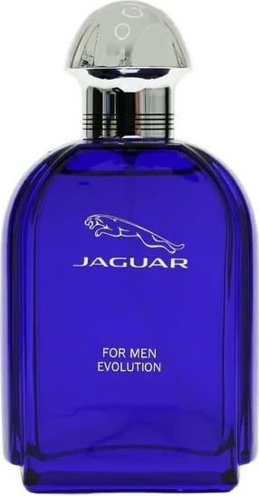 Eau de Toilette për meshkuj Jaguar Evolution 100ml