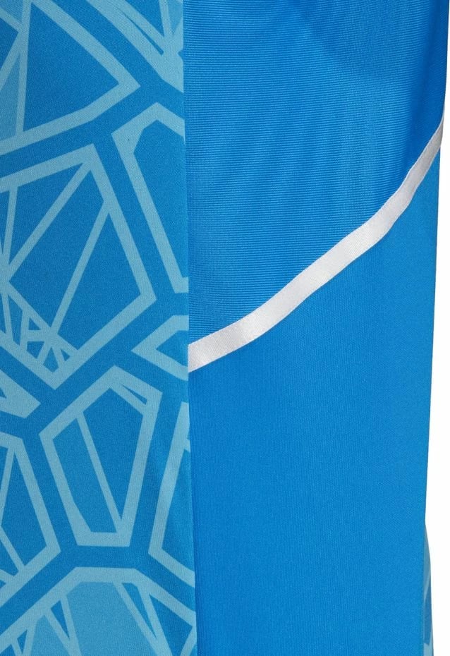 Fanellë portieri adidas për meshkuj, e kaltër