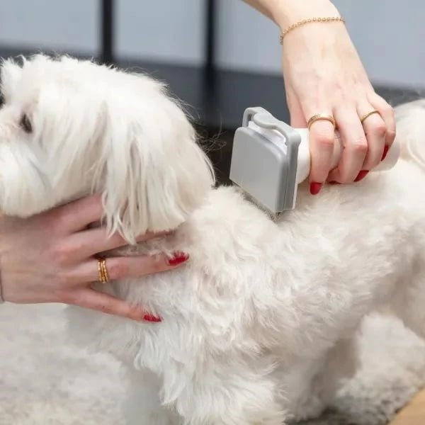 Pajisje kujdesi për kafshë MPM MOD-100, me fshesë me korrent dhe prerës qimesh, Gri