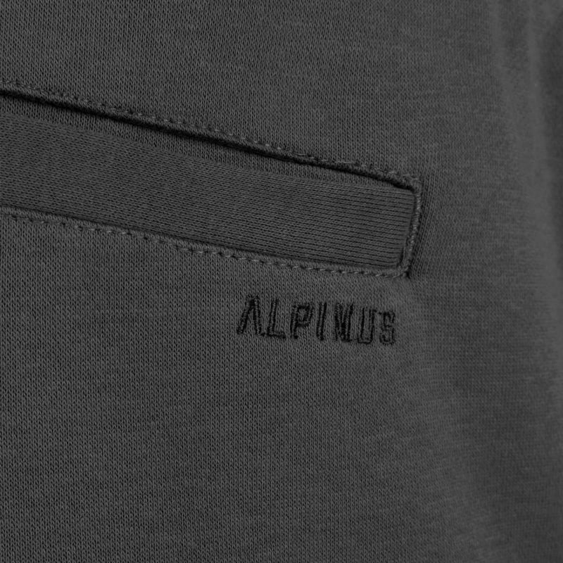 Shorce për meshkuj Alpinus, gri