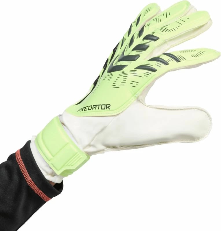 Doreza portieri adidas për meshkuj, të gjelbra