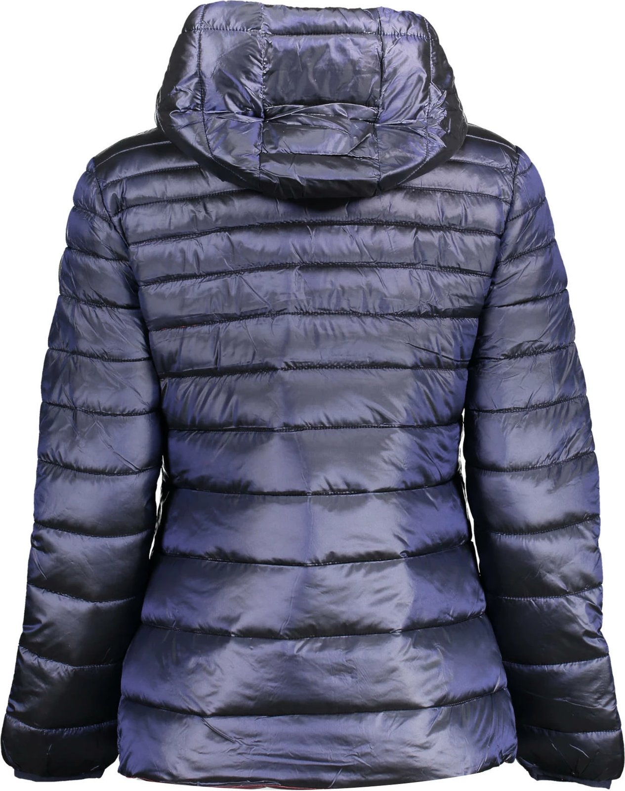 Jakne femra U.S. POLO, blue