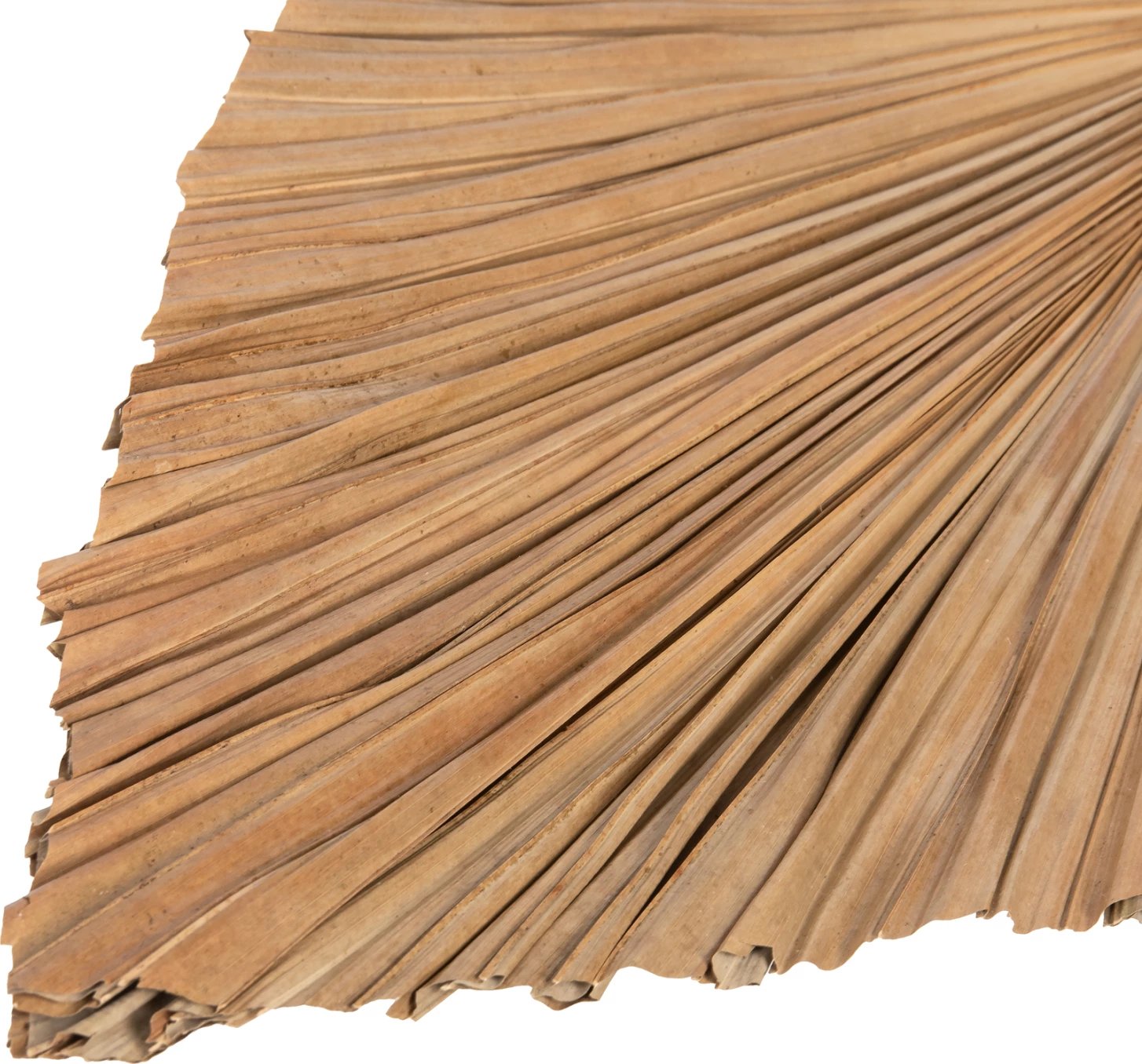Dekor me gjethe palme të tharë, ngjyrë natyrale, FH7875, 42x135x3 cm