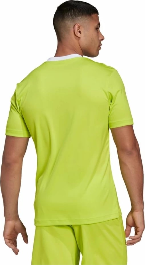 Maicë për meshkuj adidas, lime