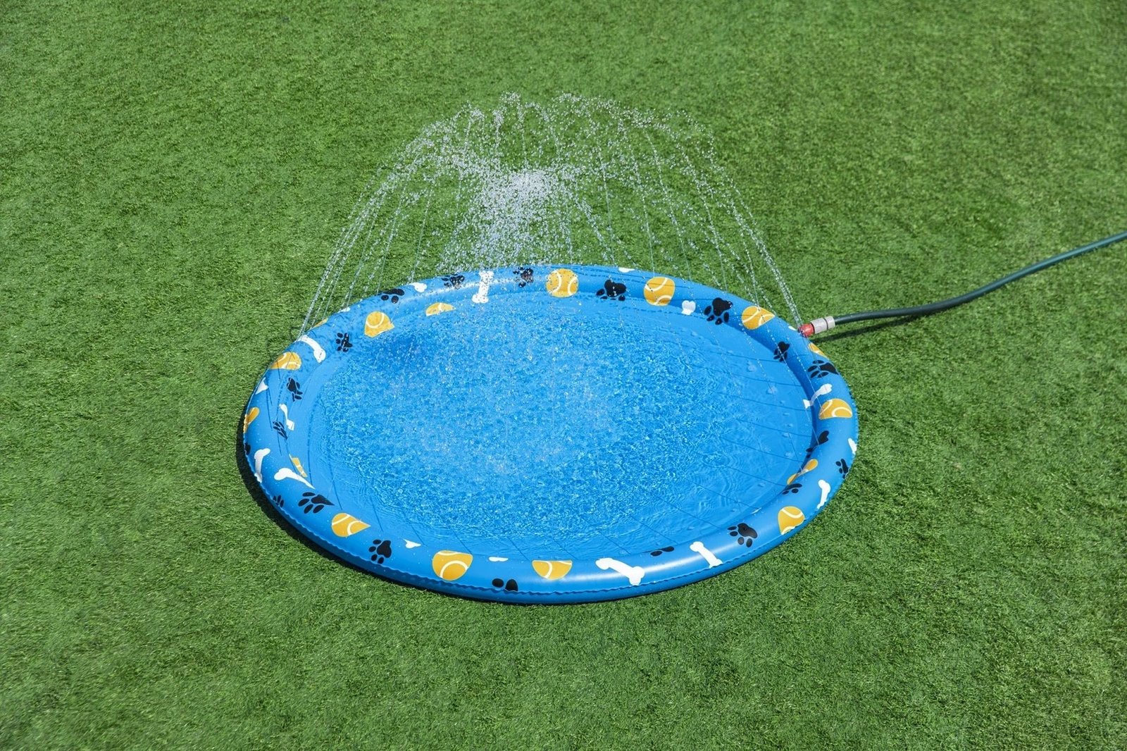 Pishinë për qen Bestway Fetchin' Fun, e verdhë, PVC, rrumbullakët