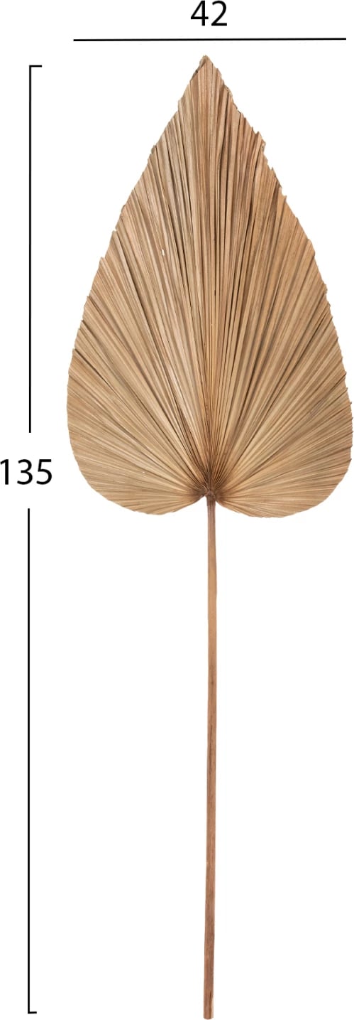 Dekor me gjethe palme të tharë, ngjyrë natyrale, FH7875, 42x135x3 cm