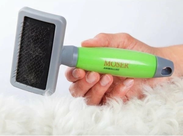 Furçë Moser Spazzola Cardatrice Media Manico Gel 7065