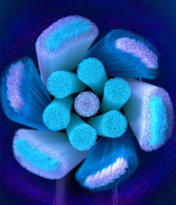 Koka zëvendësuese për brushë elektrike Oral-B iO Ultimate Clean, 4 copë, e zezë