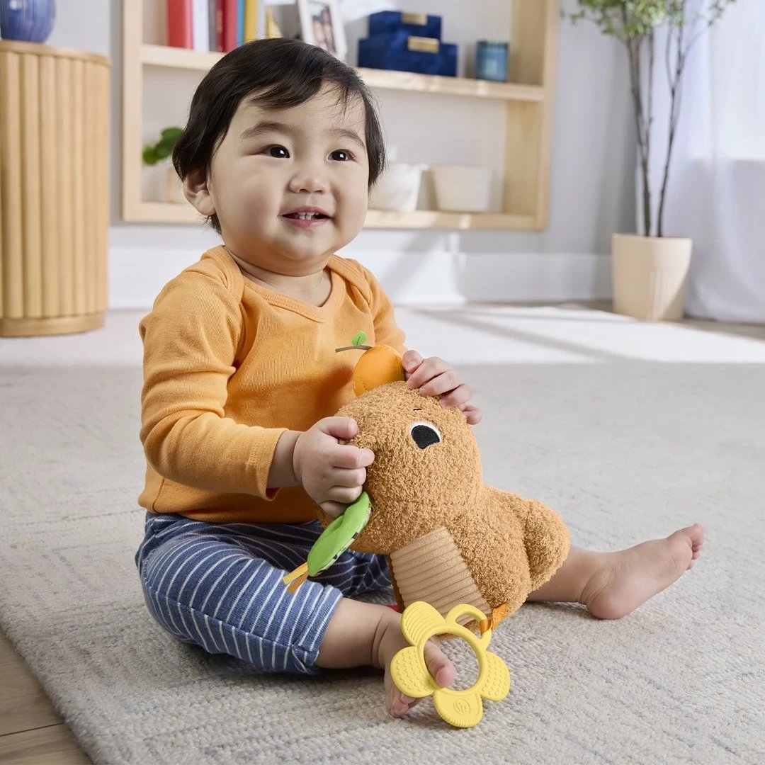 Lodër pellushi Fisher-Price Snuggly Snacky Capy, MATTEL, Bronztë