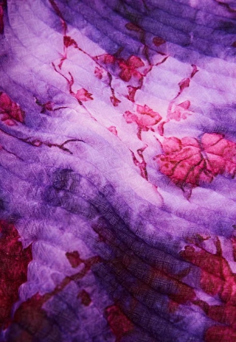 Shall Desigual femra, e purpurt