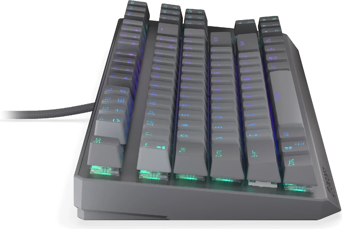 Tastierë mekanike Endorfy Thock V2 TKL, RGB, 80%, Hot-Swap, USB-C, gri