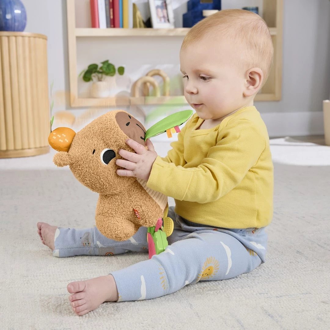 Lodër pellushi Fisher-Price Snuggly Snacky Capy, MATTEL, Bronztë