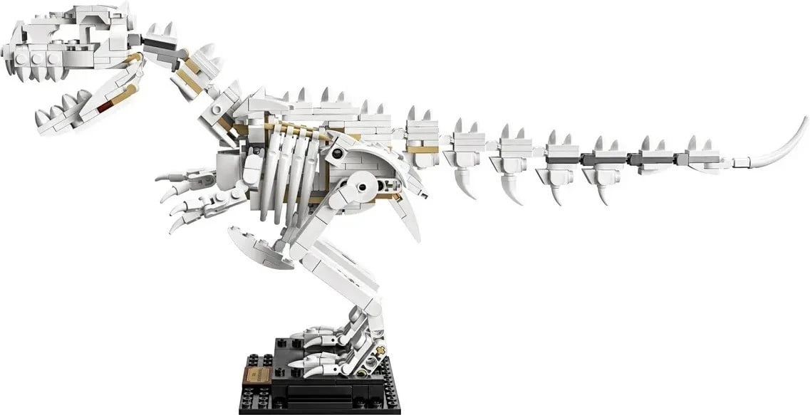 Lodra LEGO IDEAS 21320 Dinosaur Fossils, 910 pjesë Lodra LEGO IDEAS 21320 Dinosaur Fossils, 910 pjesë