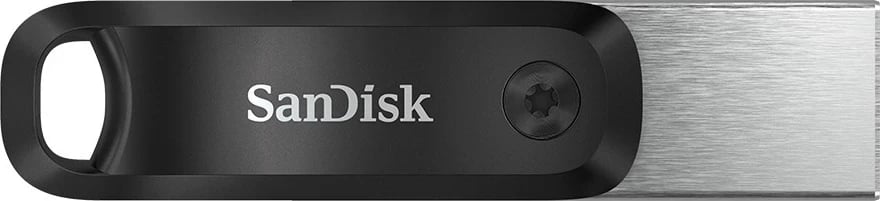 USB Flash SanDisk 256GB, Gri dhe Argjendtë