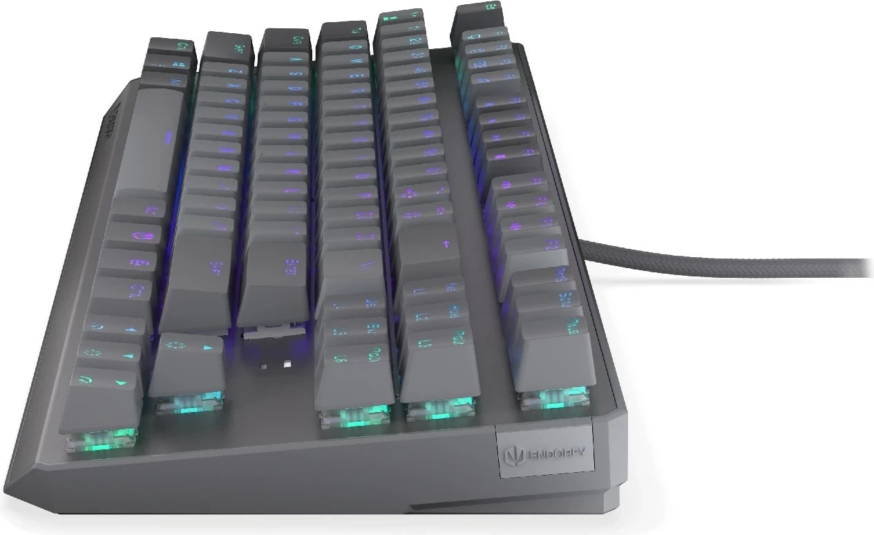 Tastierë mekanike Endorfy Thock V2 TKL, RGB, 80%, Hot-Swap, USB-C, gri