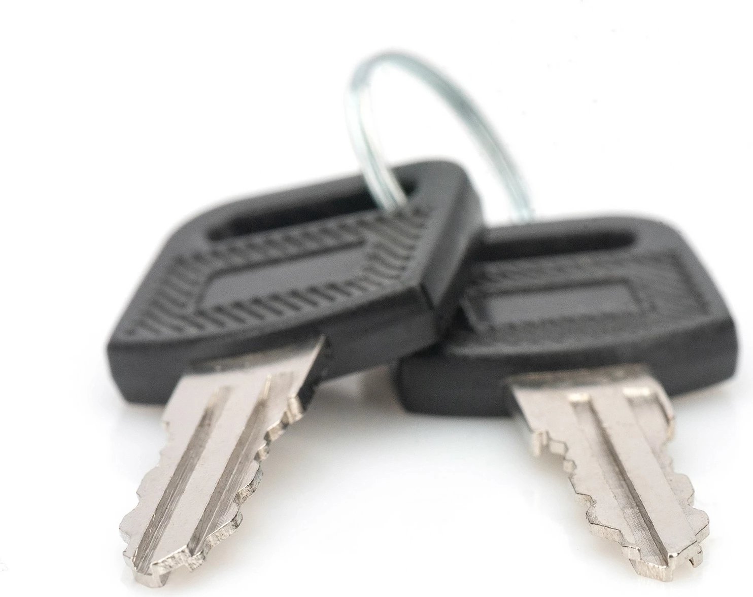 Çelësa Digitus DN-KEY-WM për kasë rrjeti, 2 copë, zi/argjendtë