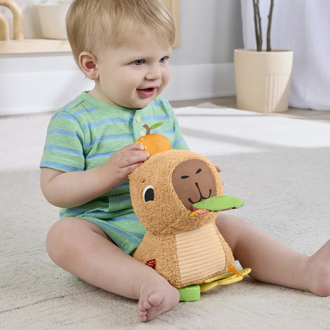 Lodër pellushi Fisher-Price Snuggly Snacky Capy, MATTEL, Bronztë