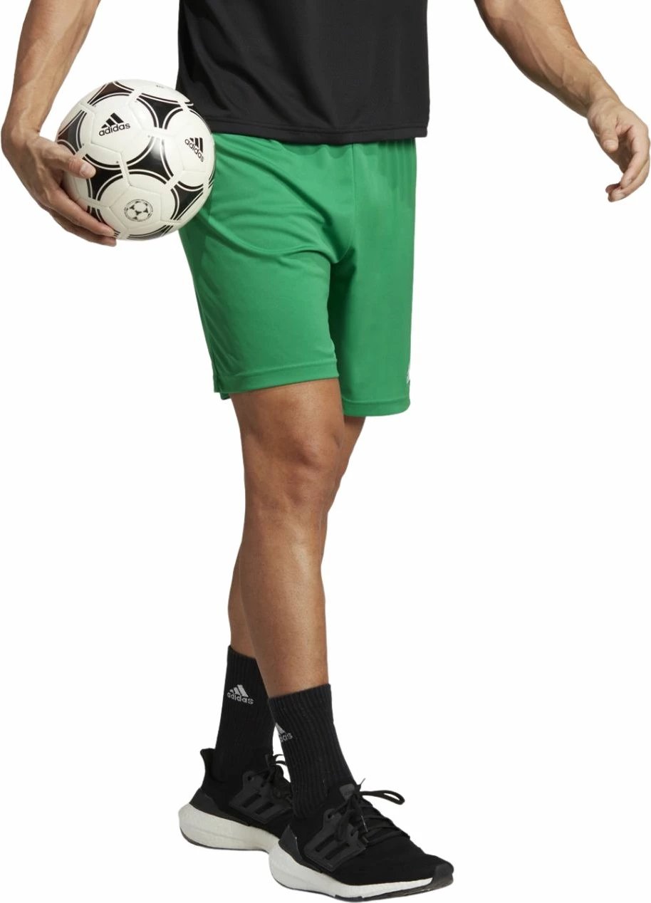 Shorce për meshkuj adidas, të gjelbra