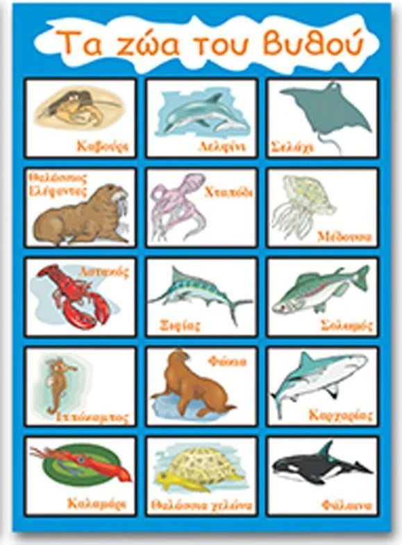 Poster edukativ NEXT "Kafshët e Thellësive" 50x70cm