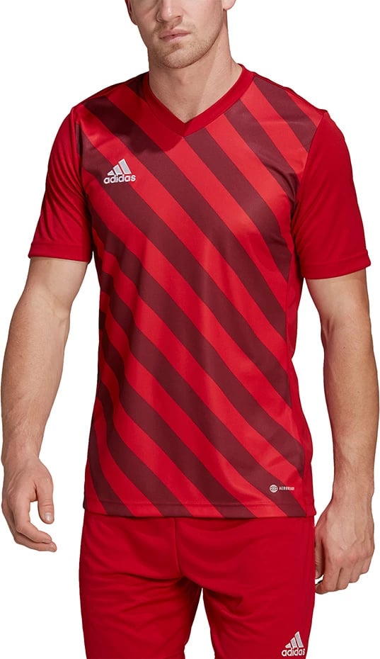 Maicë për meshkuj adidas, e kuqe