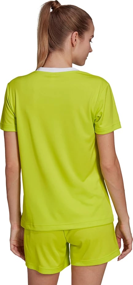 Maicë adidas për femra, jeshile
