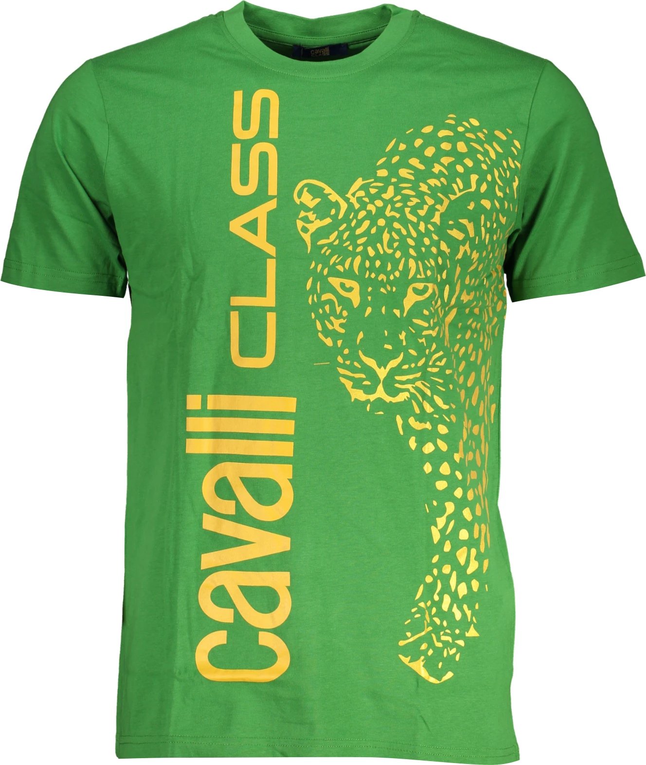 Maicë për meshkuj CAVALLI CLASS, e gjelbër