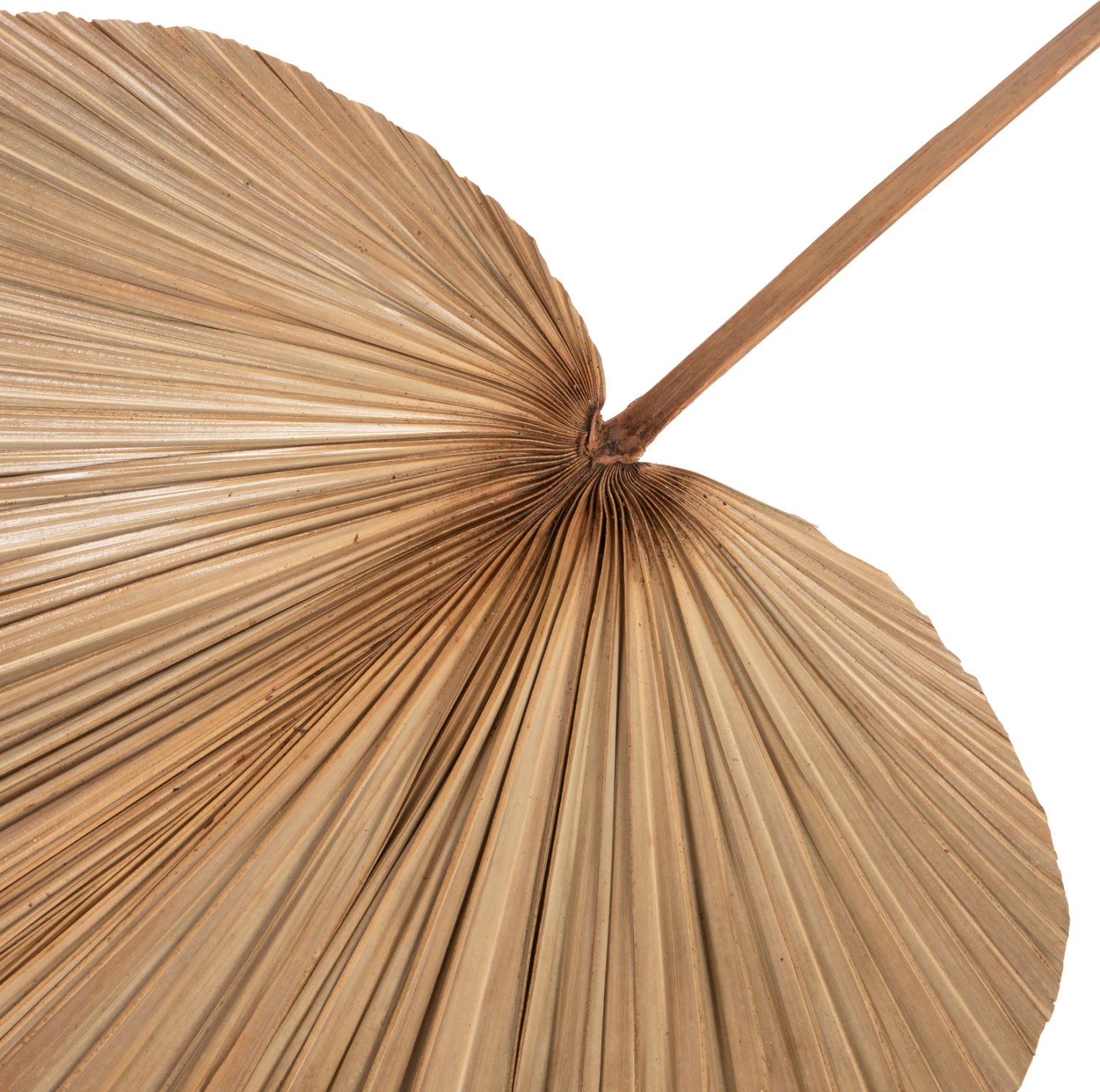 Dekor me gjethe palme të tharë, ngjyrë natyrale, FH7875, 42x135x3 cm