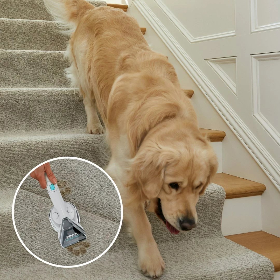 Makina për pastrim tepihësh Shark PX200EUT, dorë, e bardhë