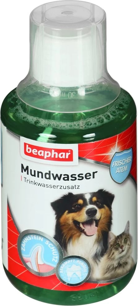 Pastrues dhëmbësh për qen dhe mace beaphar 250 ml
