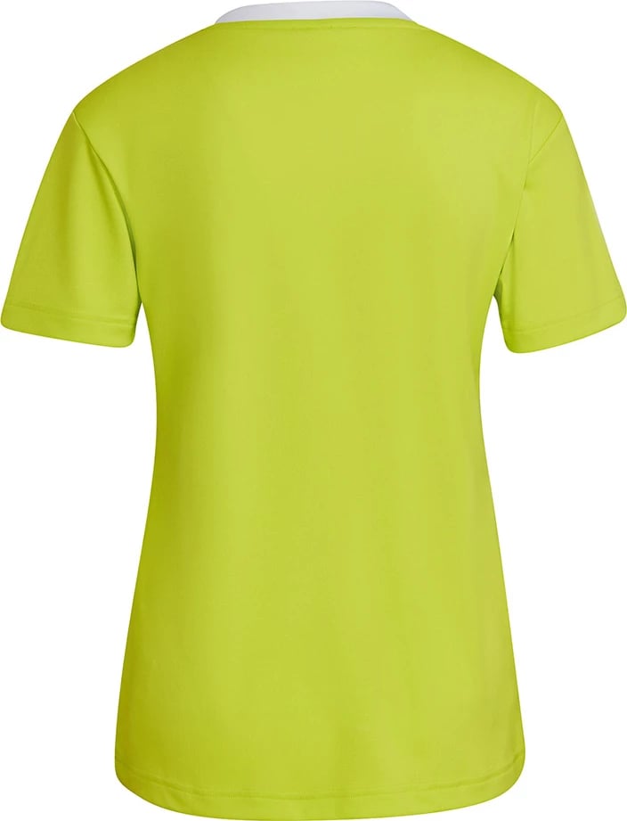Maicë adidas për femra, jeshile