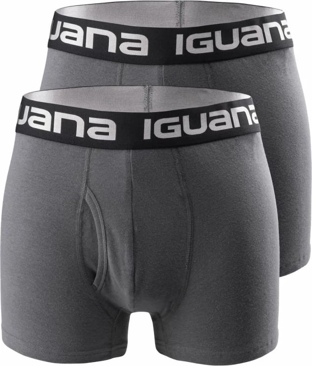 Të brendshme për meshkuj Iguana, gri