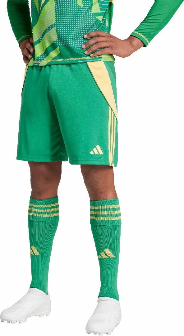 Shorce për meshkuj adidas, të gjelbra