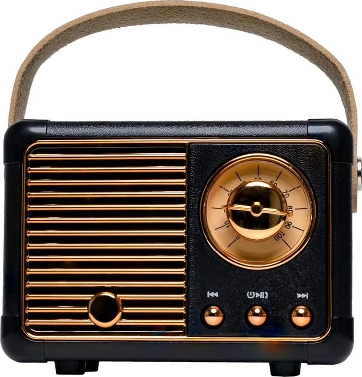 Altoparlant portativ Denver BTP-203B, Bluetooth, 3 Watt, i zi