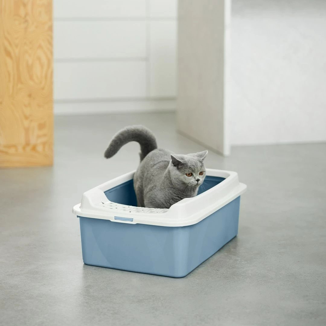 Kuti për mbeturina mace Rotho Bonnie Eco Blue