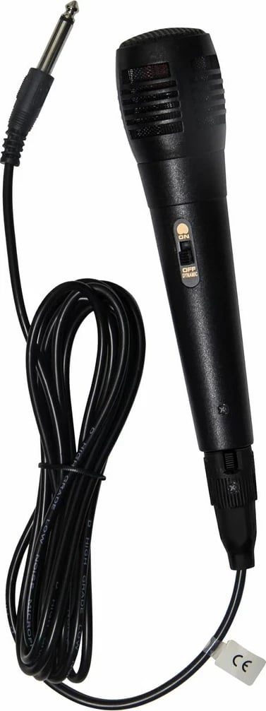 Boks portativ Denver BTM-618 me mikrofon, Wireless