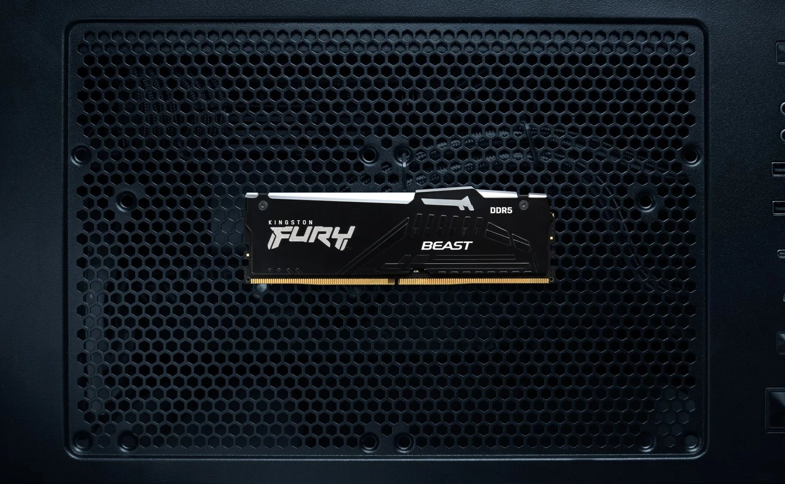 RAM Memorje Kingston FURY Beast 32GB 5600MT/s DDR5 RGB (Kit prej 2 copë)