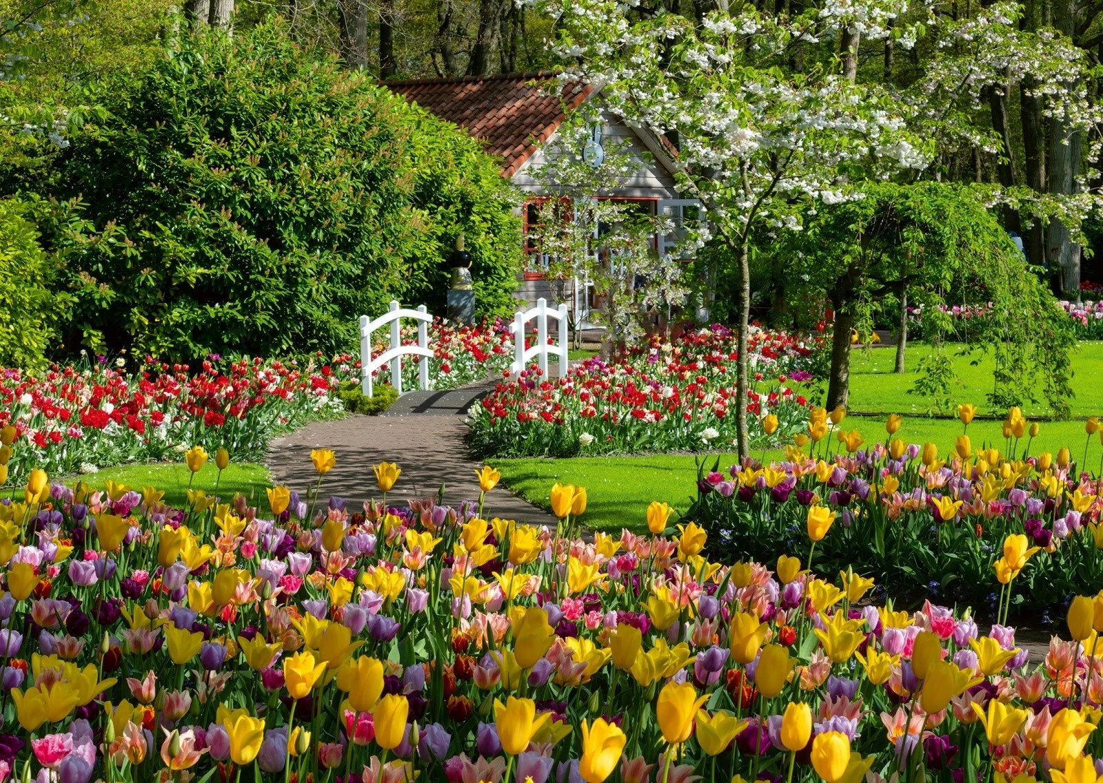 Puzzle Ravensburger 1000 pjesë Keukenhof Gardens Holland, 70x50cm