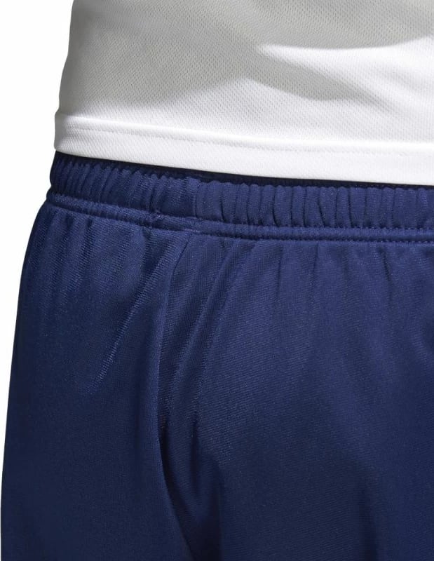 Pantallona për meshkuj adidas, të kaltra
