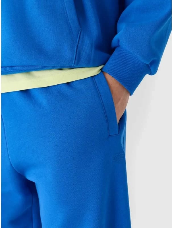 Pantallona sportive për meshkuj 4F, blu