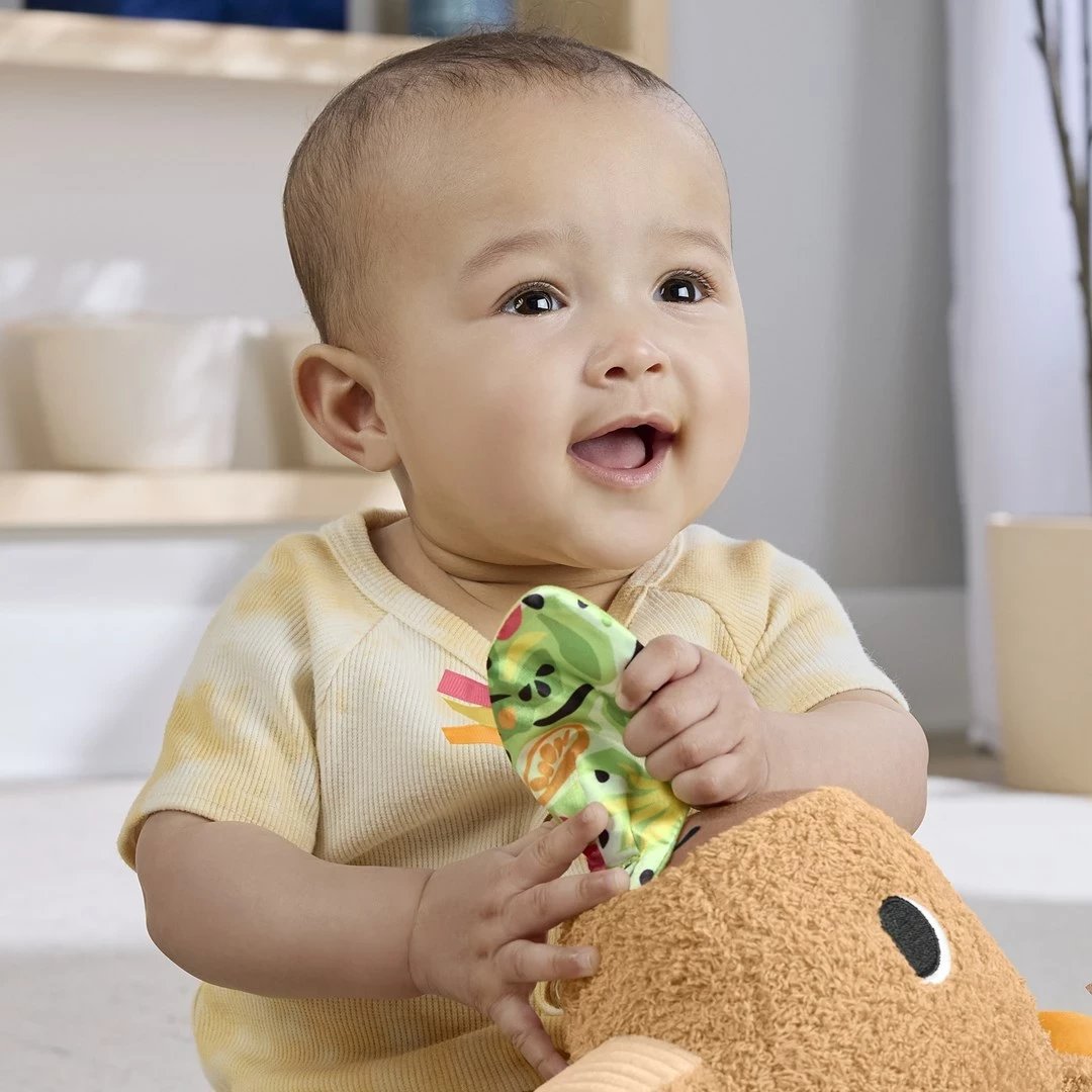 Lodër pellushi Fisher-Price Snuggly Snacky Capy, MATTEL, Bronztë