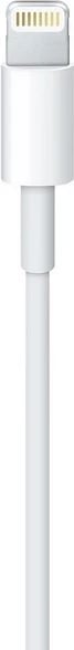 Apple Lightning to USB Cable, 2m