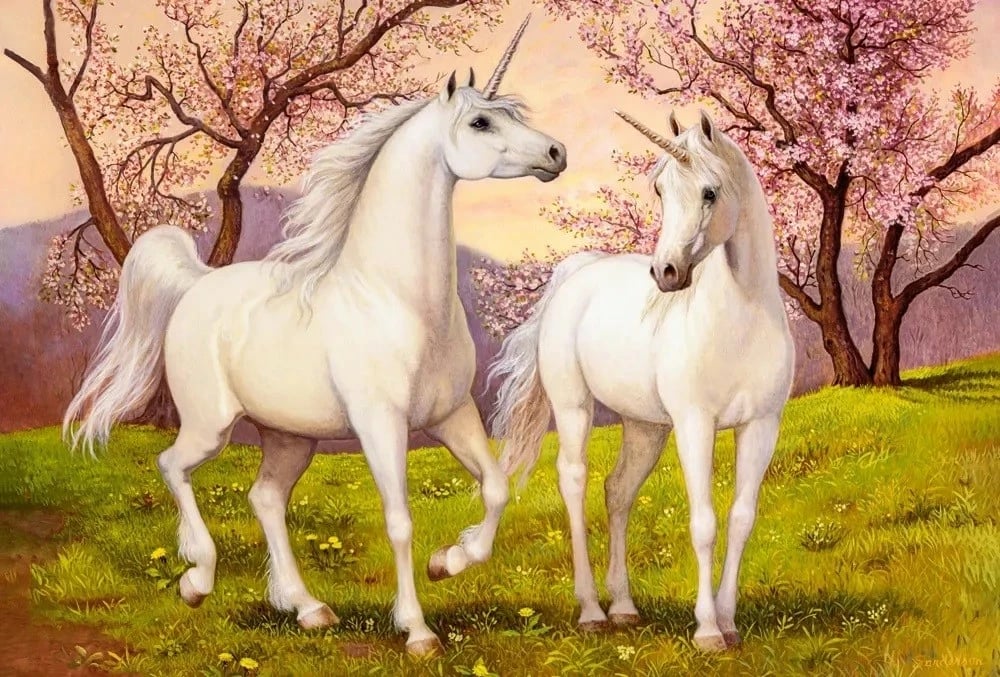 Puzzle Castor 1000 pjesë Unicorns in Love, karton