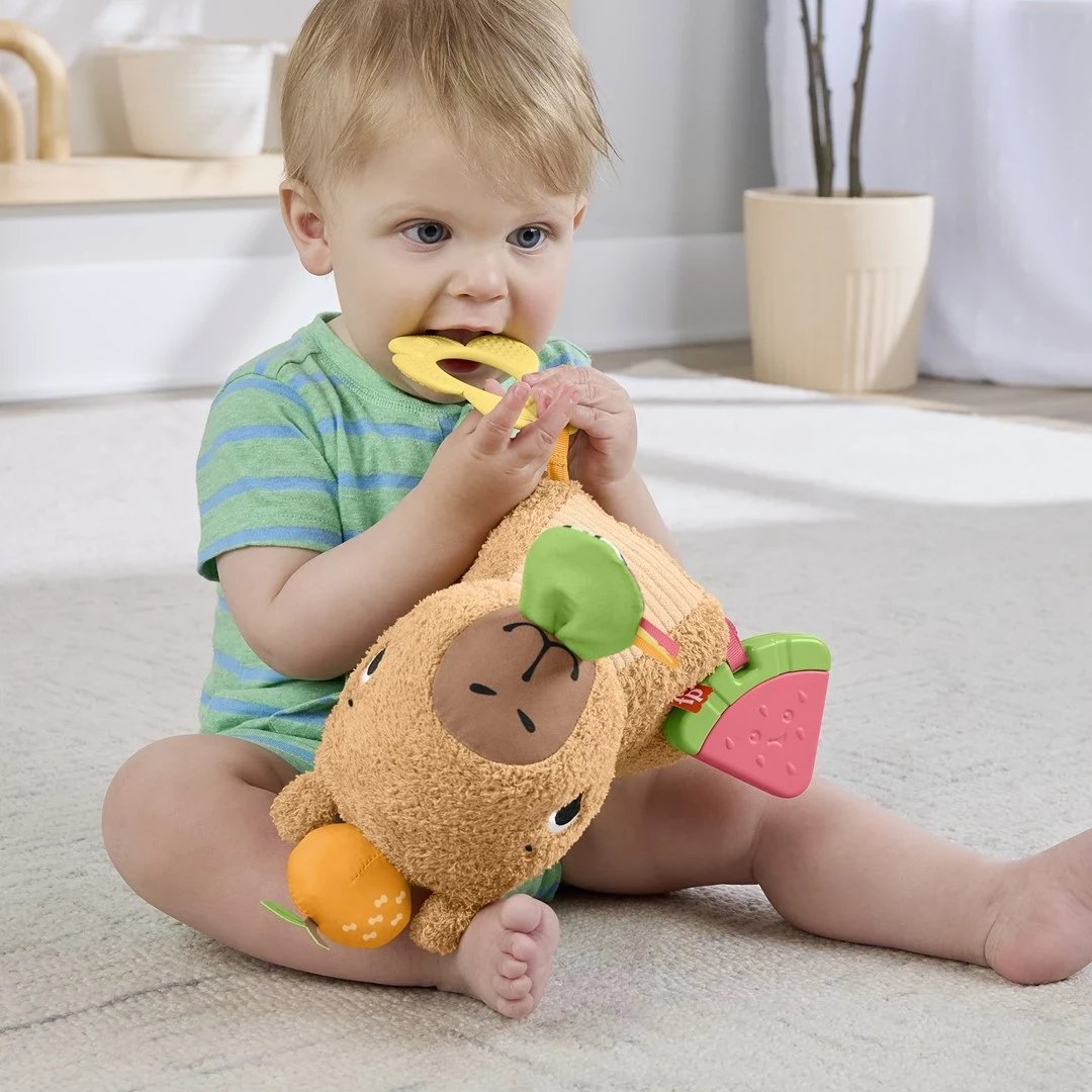 Lodër pellushi Fisher-Price Snuggly Snacky Capy, MATTEL, Bronztë