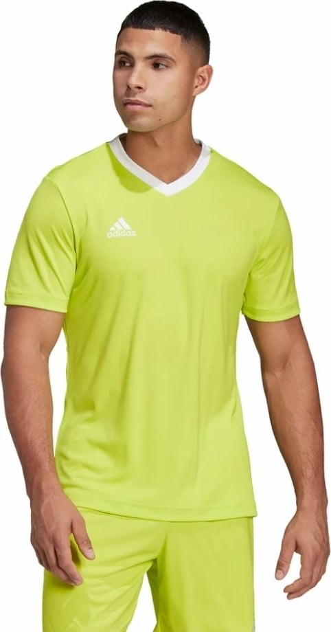 Maicë për meshkuj adidas, lime